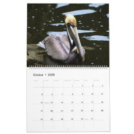 Tropischer Kalender 2025, Vögel im Paradies