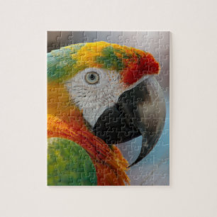 Tropischer Macaw-Papagei Puzzle