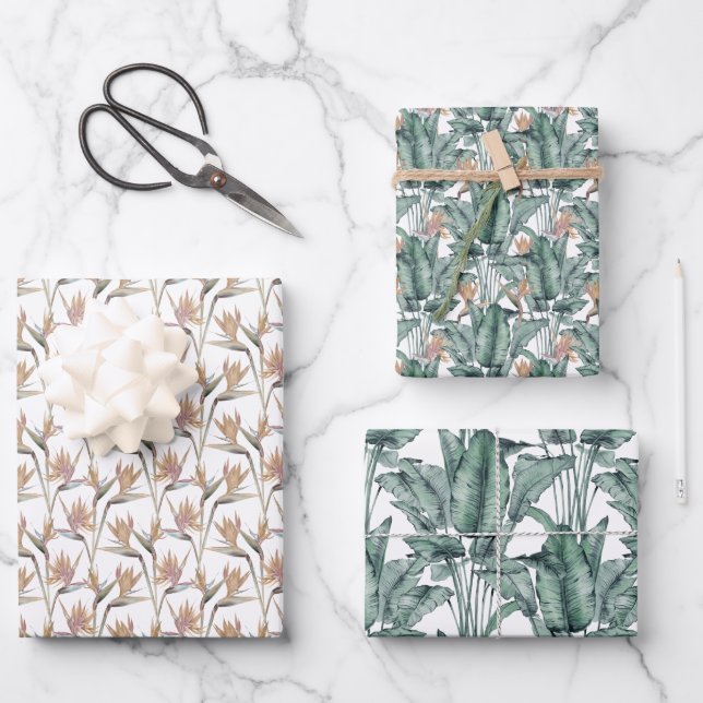 Tropischer Monstera-Vogel  Geschenkpapier Set (Vorderseite)