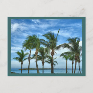 Tropischer Nachmittagskarte Postkarte