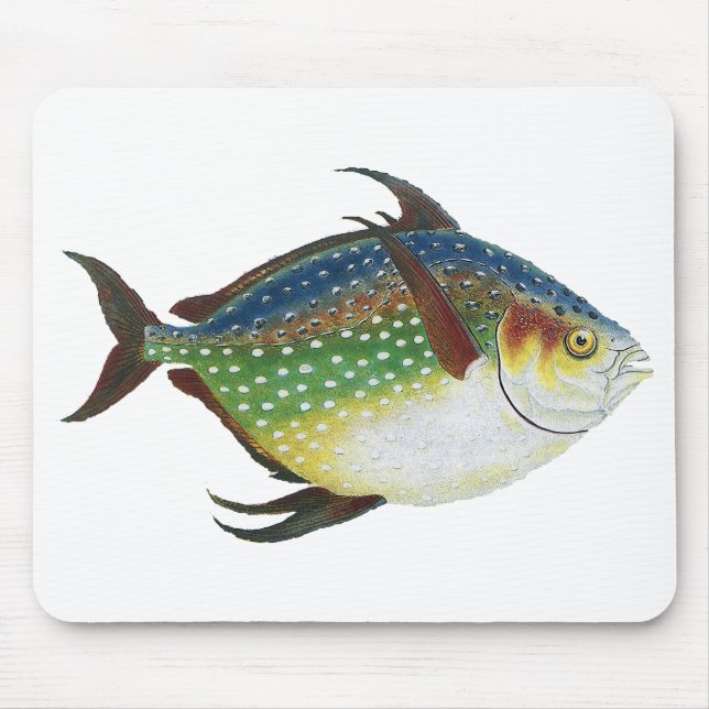 Tropischer Ohnenfisch, Vintages Meerwassertier Mousepad (Vorne)