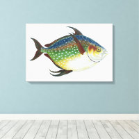 Tropischer Opah-Fisch, Vintage-Meeres-Aquarien-Tie