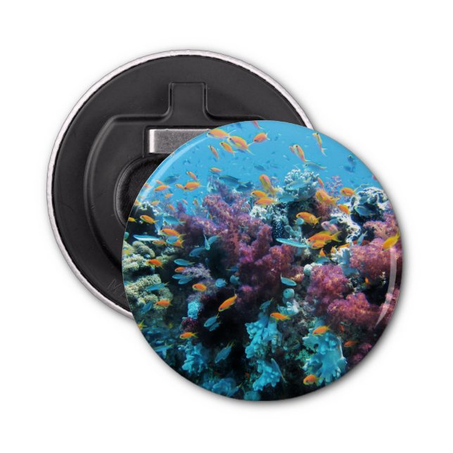 Tropischer Orangenfisch und rosa Koralle Flaschenöffner (Vorderseite)