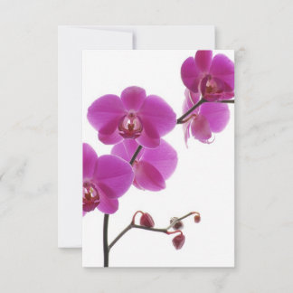 Tropischer Orchid-Einladungs-Antwortkarte RSVP Karte