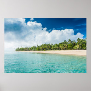 Tropischer Palmenstrand Poster