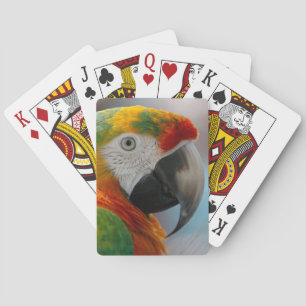 Tropischer Papagei Spielkarten