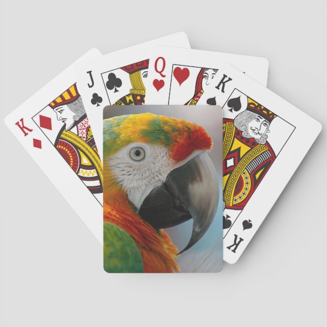 Tropischer Papagei Spielkarten (Rückseite)