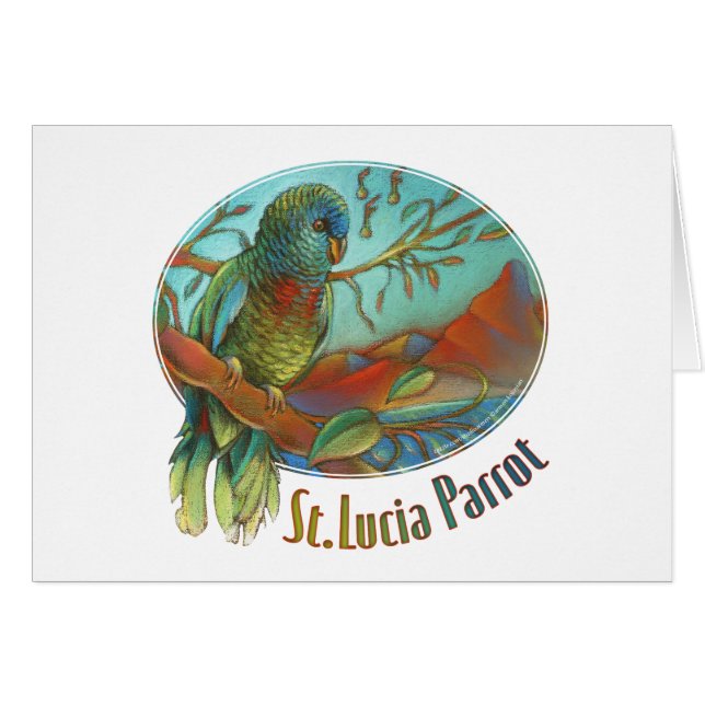 Tropischer Papagei von St Lucia (Vorderseite (Horizontal))