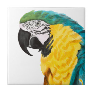 Tropischer Papageien-Vogel Fliese