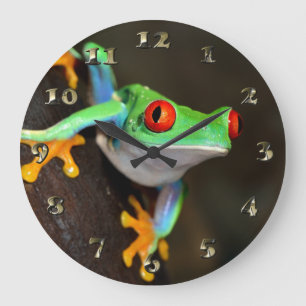 Tropischer Red Eye-Frosch - Agalychnis Callidryas Große Wanduhr