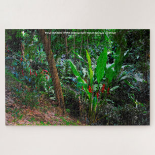 Tropischer Regenwald Grenada Karibik. Puzzle