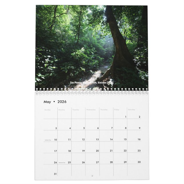 Tropischer Regenwaldkalender Kalender (Mai 2026)