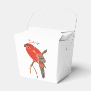 Tropischer Roter Papagei Geschenkschachtel