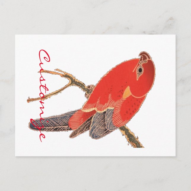 Tropischer Roter Papagei Postkarte (Vorderseite)