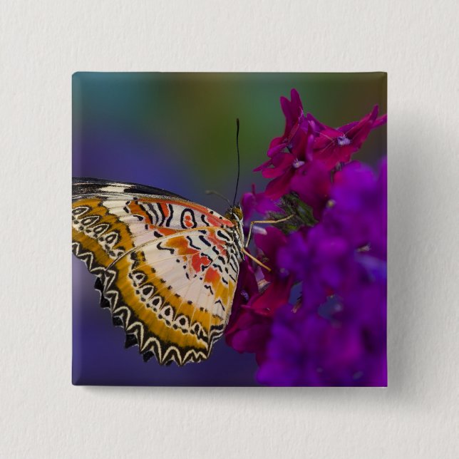 Tropischer Schmetterling auf violetten Blumen Button (Vorderseite)
