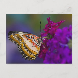 Tropischer Schmetterling auf violetten Blumen Postkarte