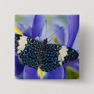 Tropischer Schmetterling Lila Iris Button