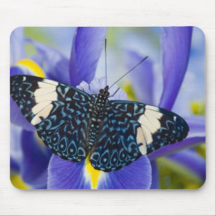 Tropischer Schmetterling Lila Iris Mousepad
