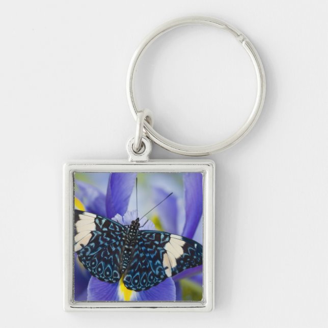 Tropischer Schmetterling Lila Iris Schlüsselanhänger (Vorne)