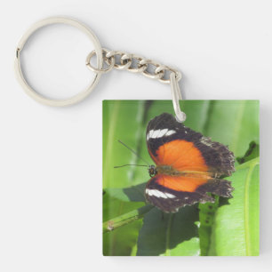 Tropischer Schmetterling Schlüsselanhänger