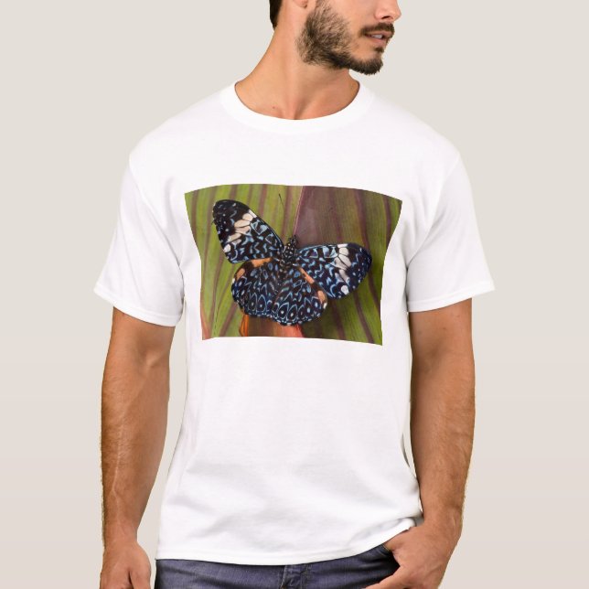 Tropischer Schmetterling T-Shirt (Vorderseite)