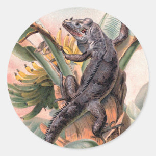 Tropischer Schwarzer Leguan, Vintage-wildes Reptil Runder Aufkleber