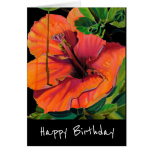 Tropischer Sommerorange-Hibiskus