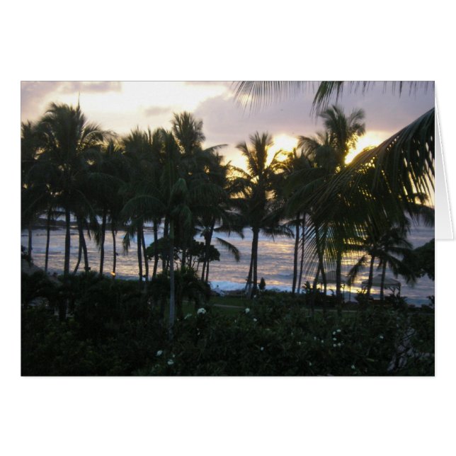Tropischer Sonnenuntergang (Vorderseite (Horizontal))