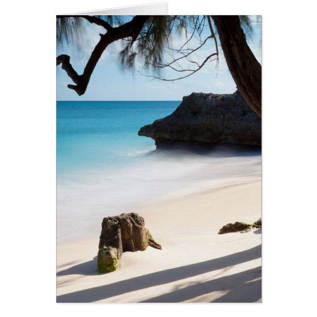 Tropischer Strand (Vorne)