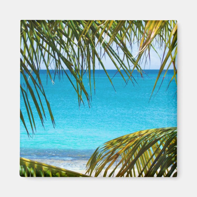 Tropischer Strand gerahmt mit Palmfronten Magnet (Vorne)