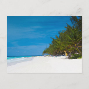 Tropischer Strand in Barbados Postkarte