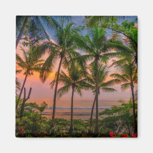 Tropischer Strand   Nationalpark Corcovado Magnet