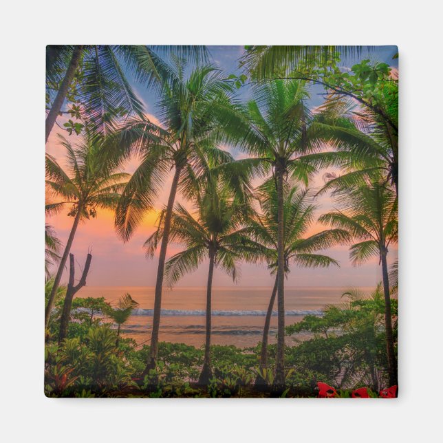 Tropischer Strand | Nationalpark Corcovado Magnet (Vorne)