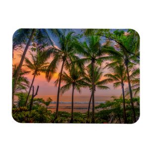 Tropischer Strand   Nationalpark Corcovado Magnet