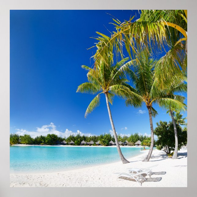 Tropischer Strand Poster (Vorne)