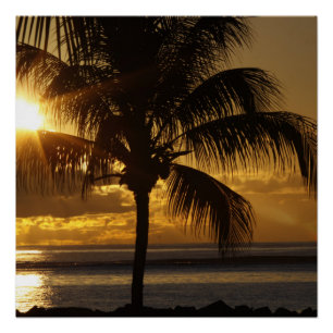 Tropischer Strand Poster