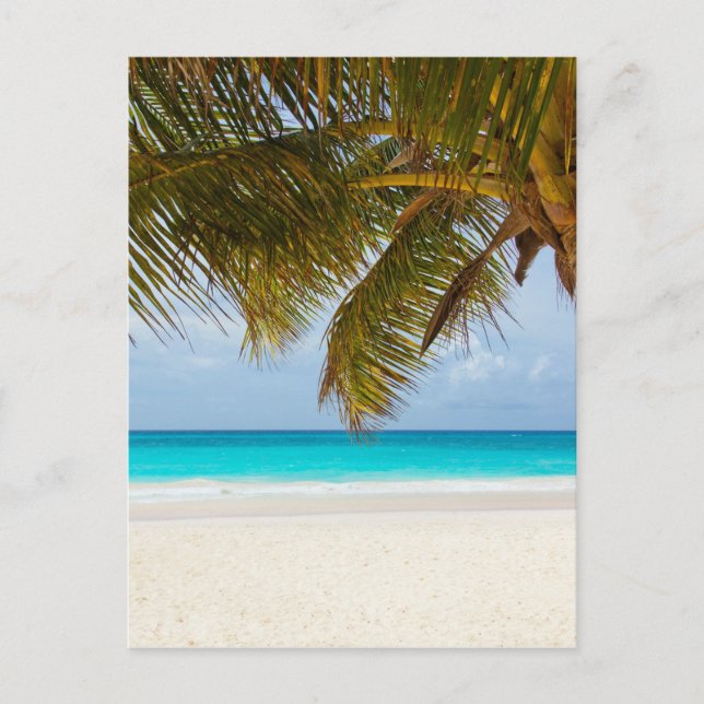 Tropischer Strand Postkarte (Vorderseite)
