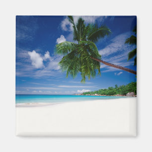 Tropischer Strand Seychellen Magnet