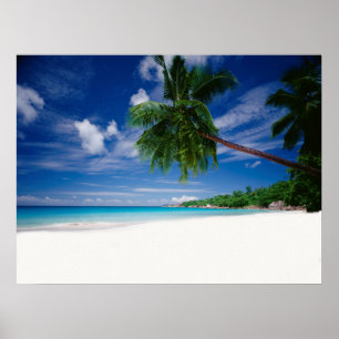 Tropischer Strand   Seychellen Poster