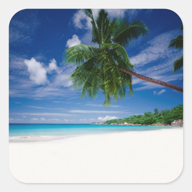 Tropischer Strand | Seychellen Quadratischer Aufkleber (Vorderseite)