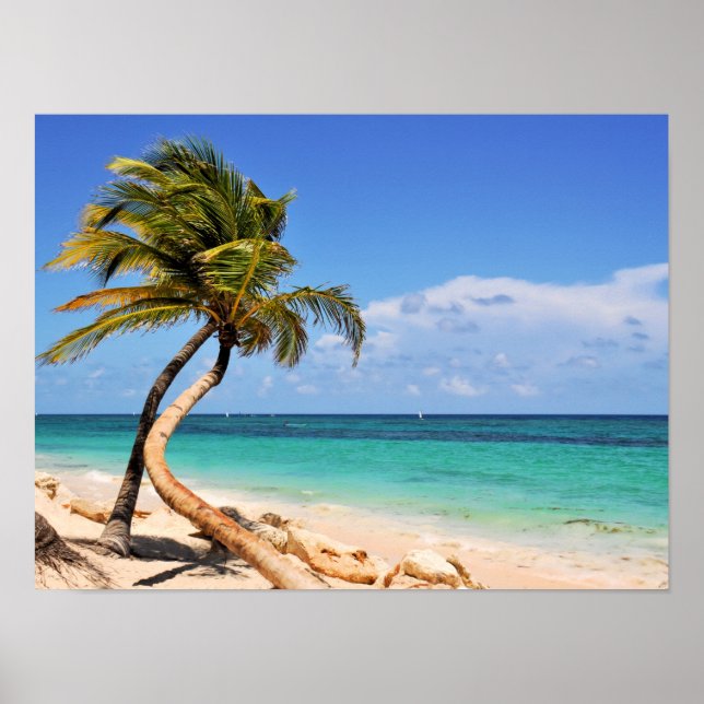 Tropischer Strand und Palmen Poster (Vorne)