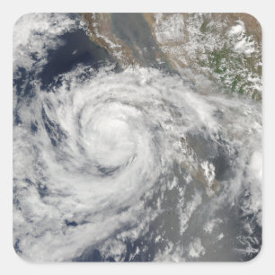 Tropischer Sturm Emilia Quadratischer Aufkleber