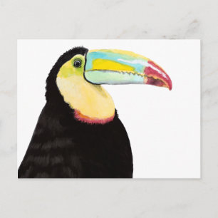 Tropischer Toucan Bird Postkarte