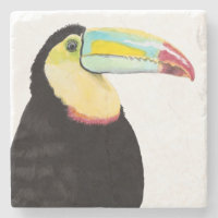 Tropischer Toucan Bird