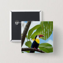 Tropischer Toukan in einem Baum