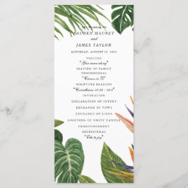 Tropischer Traum Programm