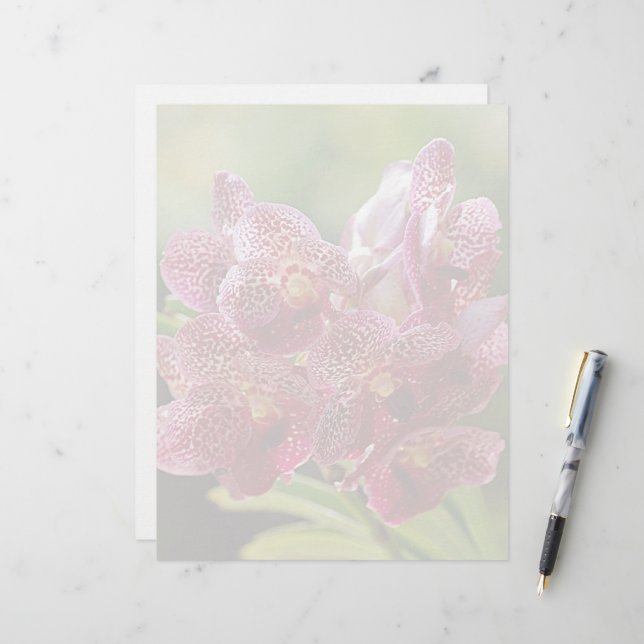 Tropischer Vanda-Orchid-Cluster (Vorderseite/Rückseite Beispiel)