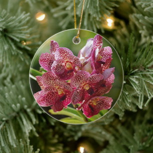 Tropischer Vanda-Orchid-Cluster Keramikornament