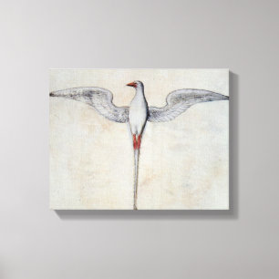 Tropischer Vogel Leinwanddruck