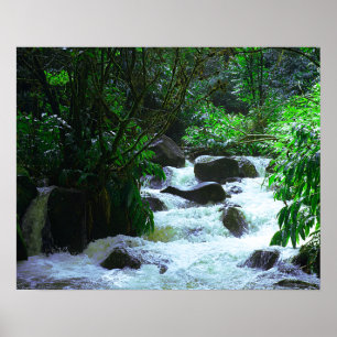 Tropischer Wasserfall Poster
